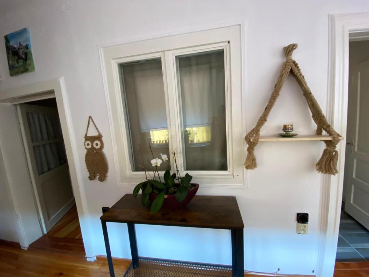 Home Of Art Rîşnov المظهر الخارجي الصورة