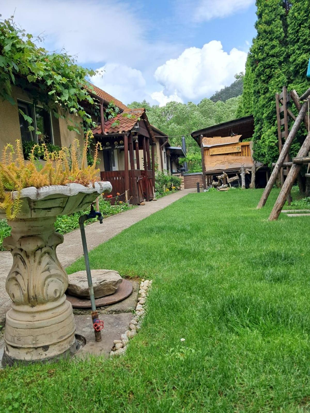 Home Of Art Rîşnov المظهر الخارجي الصورة